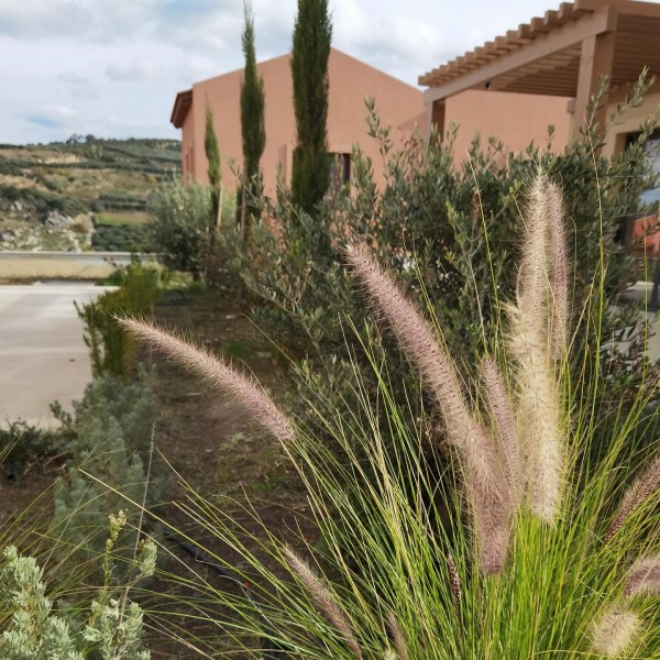 Villas στην Αυγενική Ηρακλείου
